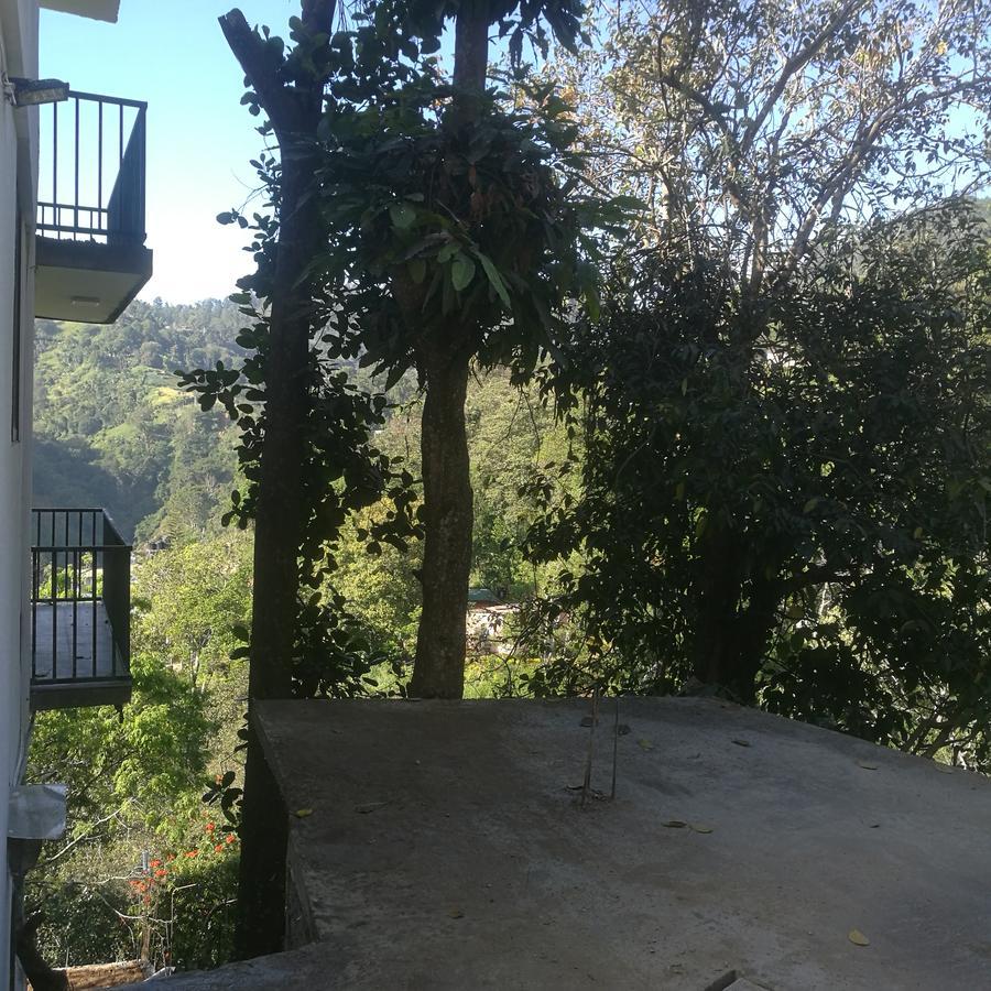Viewfront Ella Otel Dış mekan fotoğraf